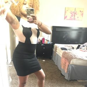 Sexy Mesh "Cat Dress"